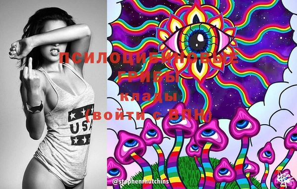 дмт Семёнов