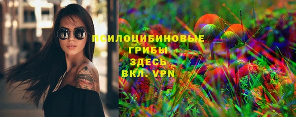 дмт Семёнов