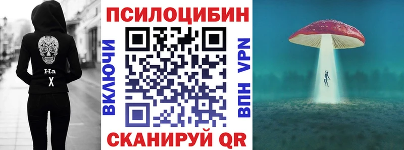 Псилоцибиновые грибы Psilocybine cubensis Поворино